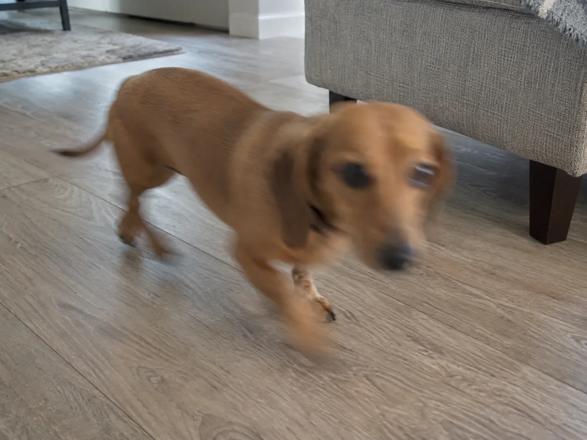 Blurry or out of focus