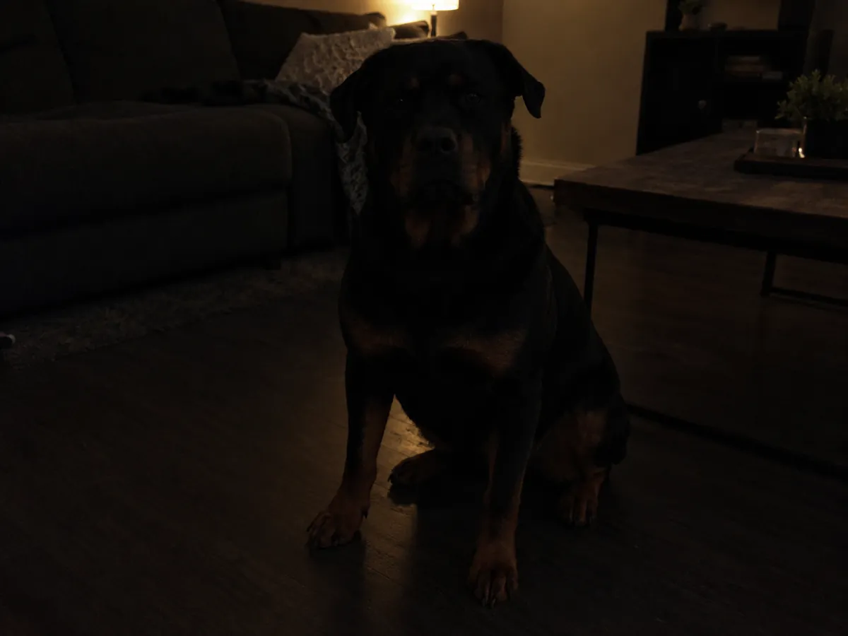 Too dark or harsh flash